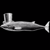 Jason Dyer (@jdyer) 's Twitter Profile