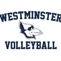 Blue Jays Volleyball (@wc_bluejays_vb) 's Twitter Profile