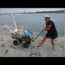 lisa downs - @lisadowns56 - Twitter