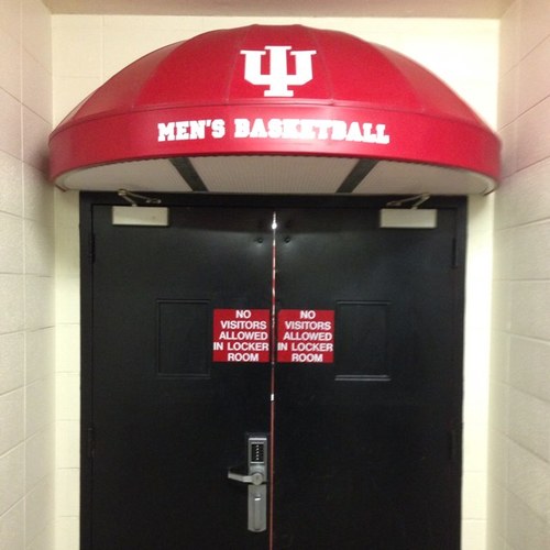 todreed's profile picture. 