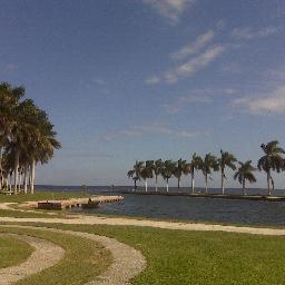 RodaferRosi's profile picture. Court Appointed Special Advocate 11th Judicial; Chairperson Education Adv. Comm. City of Cutler Bay; Chairperson Jackson South Comm. Council; Community Activist