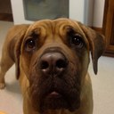 j - @jacATTACK231 - Twitter