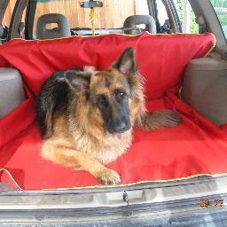 Sweaty workouts!  Dog lover who's dog happens to like to go in the car!  AMAZING water, dirt, hair and sweat proof seat covers! Made in USA!