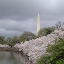 Kim Cecil - @kimccecil - Twitter