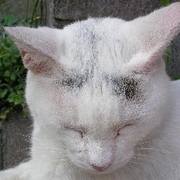 masa057's profile picture. 