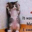 janell wilson - @janell4life72 - Twitter