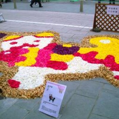 善光寺花回廊 Chuodorihana Twitter 善光寺花回廊 Chuodorihana Twitter