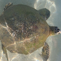 JessicaMines420's profile picture. 