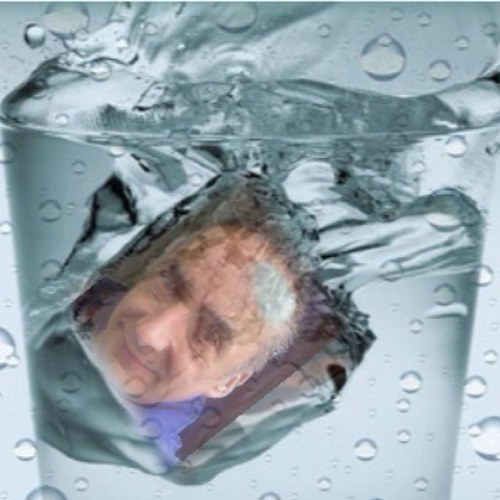 frostbuggy Profile Picture