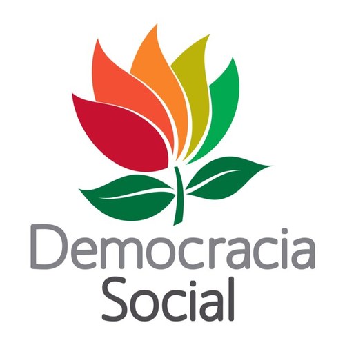 Perfil de contenidos y espacio de comunicación social del Comité Estatal de Democracia Social AVE en Hidalgo