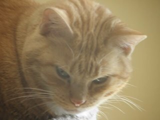 freeman_kara's profile picture. 