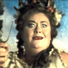 Hello there, I am The Fat Lady:  The door to Gryffindor Tower You better not awake me when I'm sleeeping. Secrect Key: fortuna ajor!