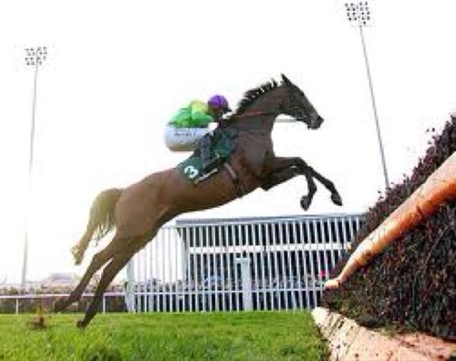 At Punt Pro we are a team of form analysts, work riders, racehorse owners and pro gamblers. We work around the clock to find the edge against the bookmakers.