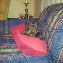 annette hester - @annettehester66 - Twitter