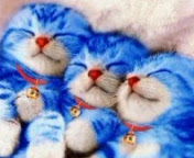 nasbow3's profile picture. 