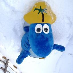 aquaparc_sharky's profile picture. Le plus beau parc aquatique indoor et outdoor de Suisse.