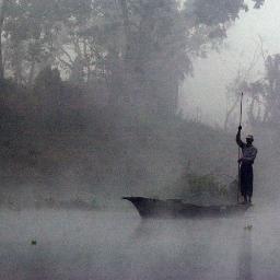 azeit11's profile picture. #AutoFollow #AutoFollowBack #TeamAutoFollow #Follow4Follow