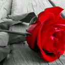 Conor Collins - @kubangdeleg - Twitter