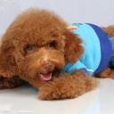 Susie Chan - @Susie_CX - Twitter