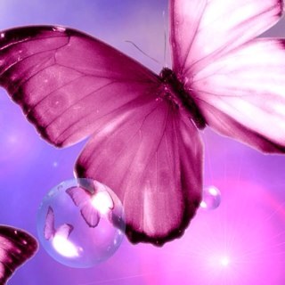 masf33's profile picture. 