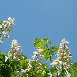 Mecker_tante's profile picture. Ja ja - ich bin kompliziert :) und das Leben ist ein Überraschungsei :)
Wir überleben es eh nicht   

Ich lebe und genieße :)

Und auf was wartest Du ???