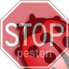 Samen staan we sterk!  Follow ons en laat zien dat jij tegen pesten bent! Bij veel followers kunnen we een actie starten!