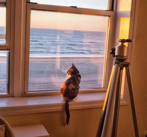 American Landscape photographer and cat lover from Rockaway Park, NY.