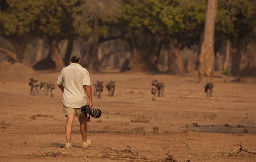Love the outdoors and have a passion for wildlife photography. Follow me on facebook: alistair swartz wildlife photography