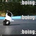 Robin Danielsen - @RobinDan1234 - Twitter