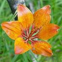 Stephanie Worth - @StephanieWorth3 - Twitter