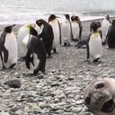 Gordon Sutherland - @Realgsuth - Twitter