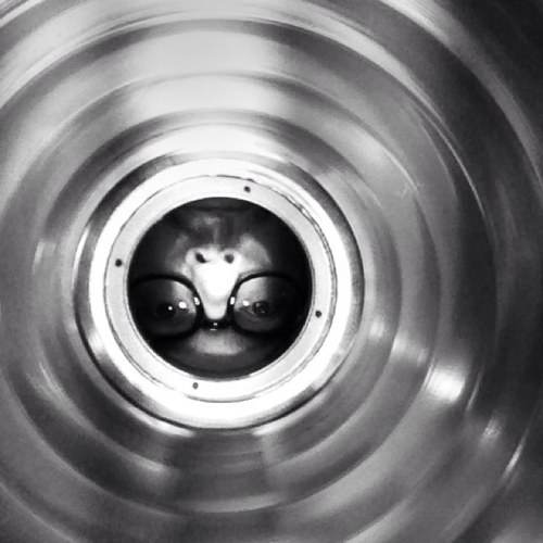 KnivenJ's profile picture. 