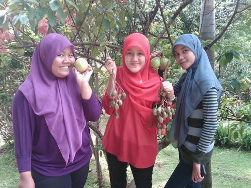 Jadilah guru  Чǝлб profesional