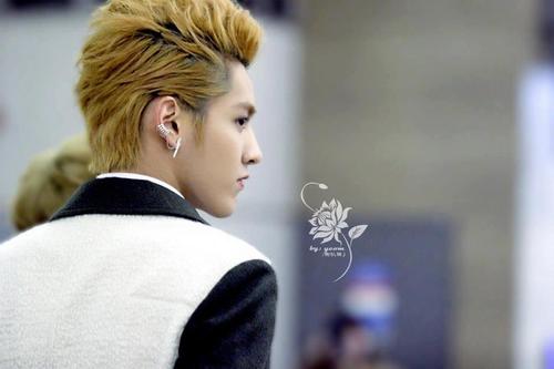 Tualek_Kikigang's profile picture. I'mตัวเล็กI'mBoice ติ่งExo รักเน่ฮยอก ชื่นชอบเฮียคริส ปลื้มสุดฤทธิ์ก็คือลีดย๊งของชาวสีน้ำเงินค่าาฟอลมาฟอลกลับ I'mFriendly อยากรู้จักทักกันเข้ามาเยอะๆเลยนะค้าา=D