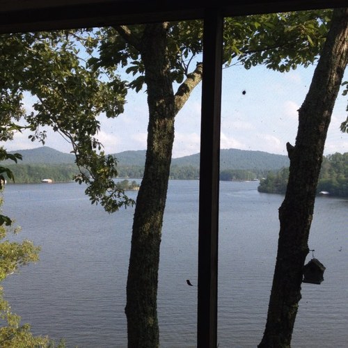 themohawkcliff Profile Picture