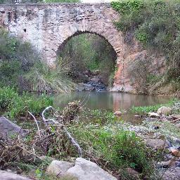 Encantador y harto de algunos