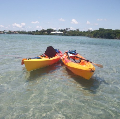 Family man and Operations Manger for a consumer electronics lab in South FL. I love technology, sports and all things outdoors.