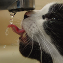 Deborah Lyman - @Deblyman0136 - Twitter