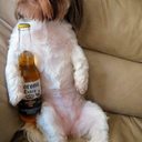 Brian Finucane - @hairysocks - Twitter