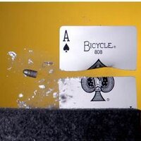 11000B (@11000b) 's Twitter Profile