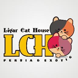 Ligar_Cats's profile picture. Breeder | Pemacakan | Penitipan Kucing  di Bandung, Follow Us @Ligar_Cats | Feel Free To Contact Us Pin BB : 23BAD2CF  | CP : 087722436454