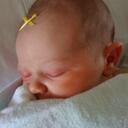 Justin Pardee - @KevlarFeathers - Twitter