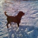 Mark Fields - @markos3166 - Twitter