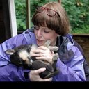 Becky Wagner - @surgeselectfan - Twitter