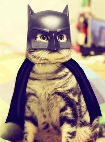 89035912922's profile picture. 