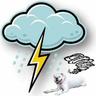 pkc114's profile picture. Emergency Manager since 2001. In Oklahoma, weather is everything.