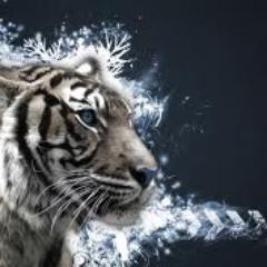 syedali1996's profile picture. 