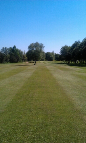 Swoodgc's profile picture. 