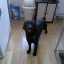 Bobby hrdlicka - @BobbyHrdlicka - Twitter