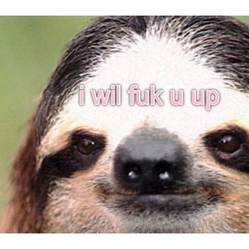 helo i am veri swaggi im also. a sloth xx